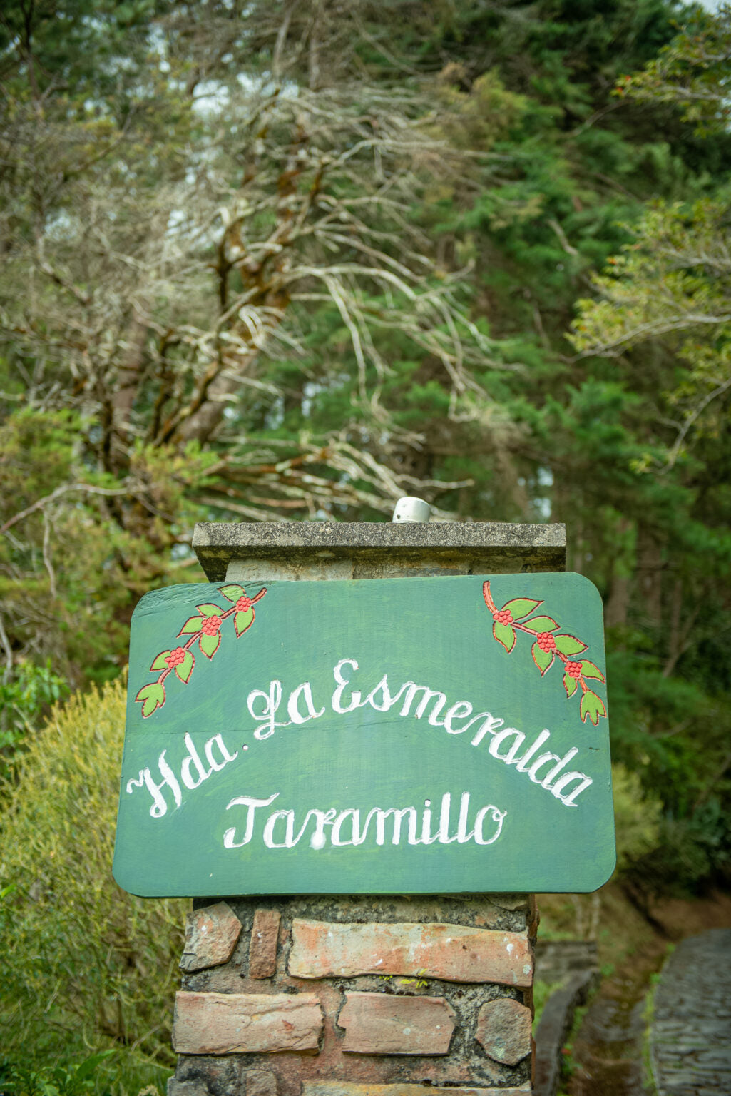 Gesha - Washed Jaramillo - Hacienda La Esmeralda