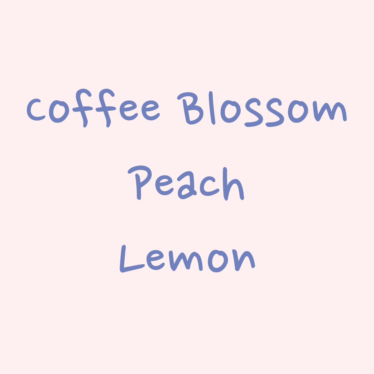 Gesha - Washed - Hacienda La Esmeralda, Cabaña Abajo 5FB