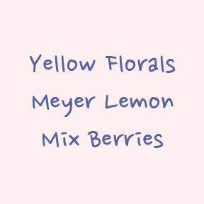 Gesha - Hybrid Washed - Mikava Estates, Marsella (Ultralight)