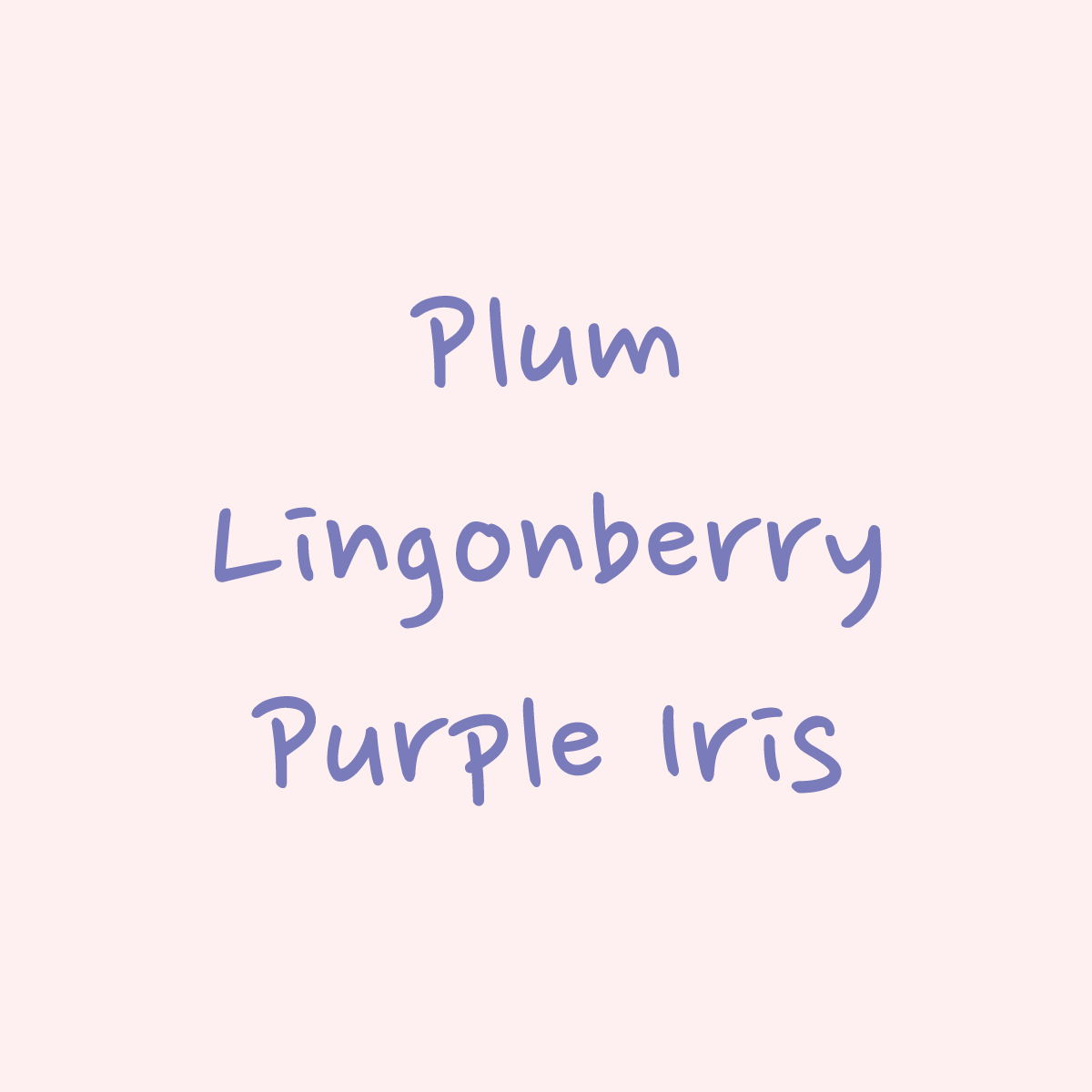 Gesha - Honey 843 NHF - Finca Nuguo