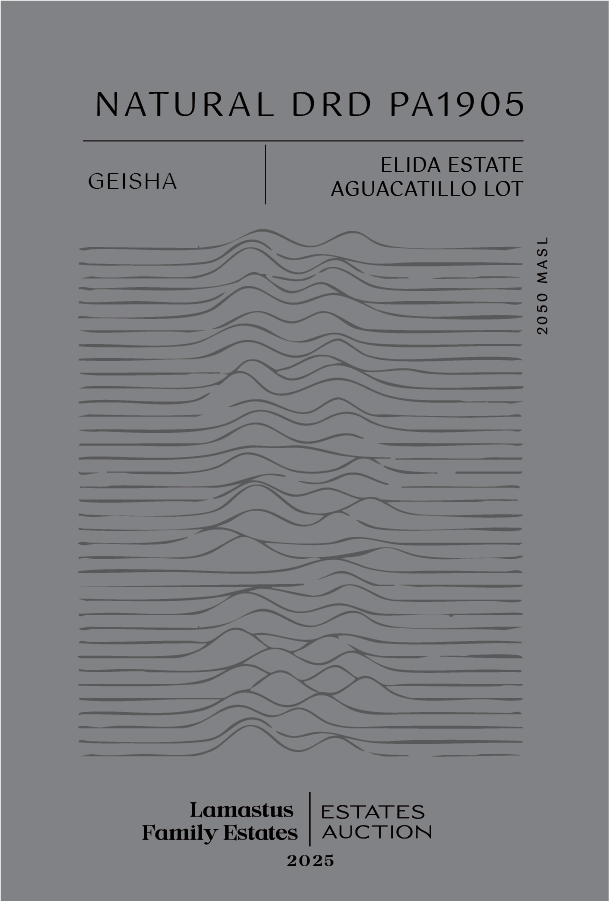 Gesha - Natural DRD - Elida Estate, Aguacatillo 2050 PA1905