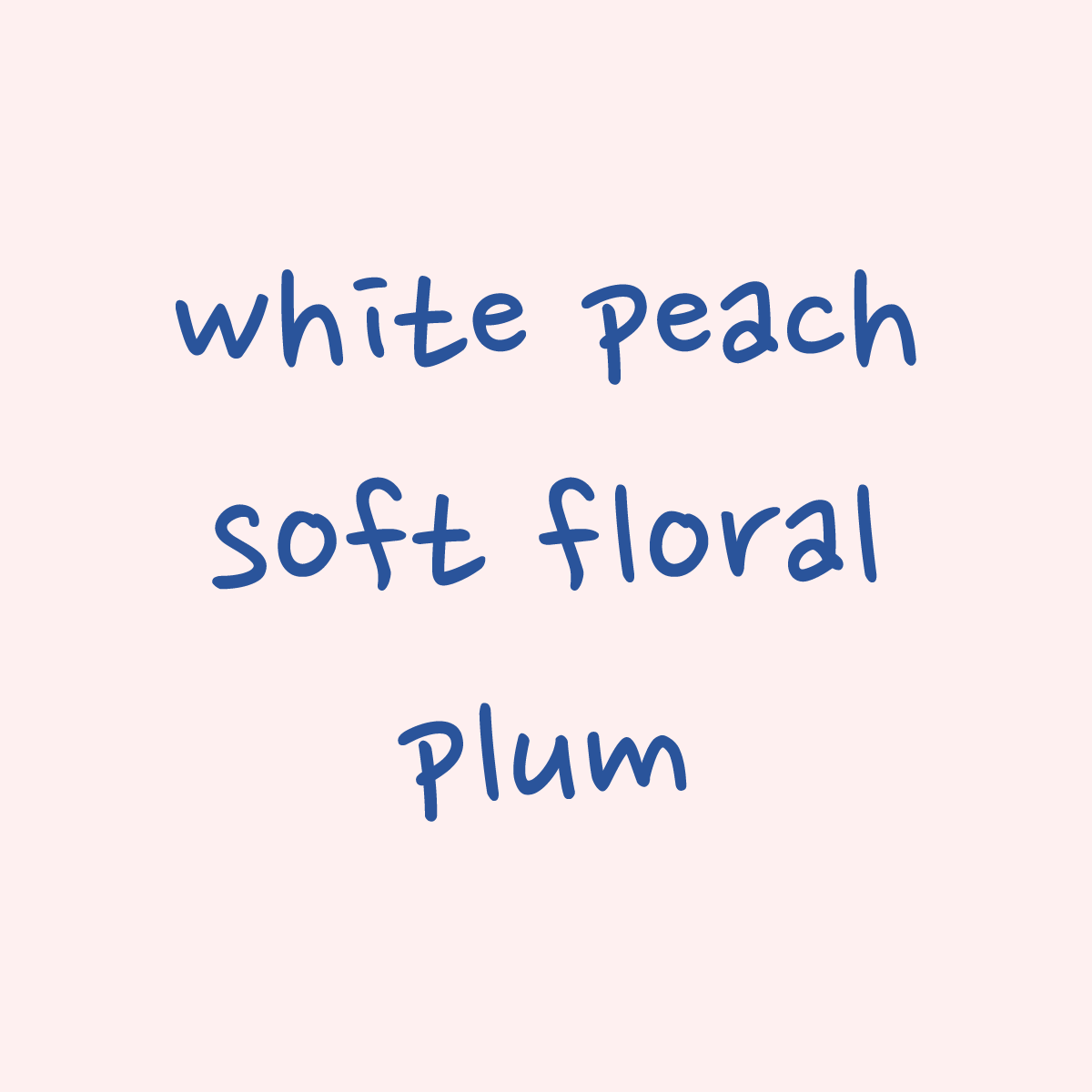 Gesha - Palomar Washed - Carmen