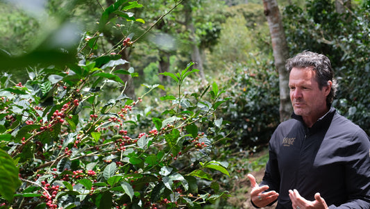 2025 Christmas Advent Calendar Coffee #1