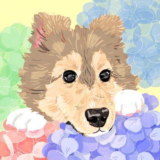 2025 Christmas Advent Calendar Coffee #3