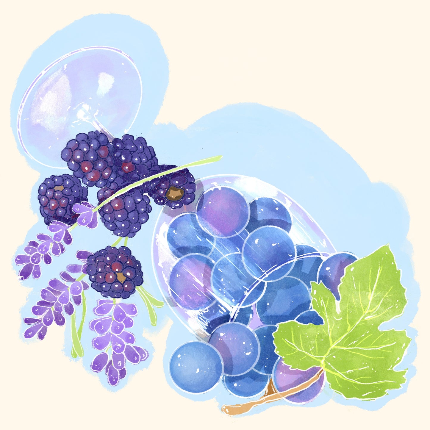 SL34, SL28, Ruiru 11, Batian - Washed - Karinga AA