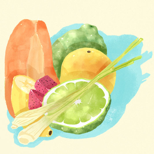 Gesha - Semi Washed - Rafael Velasco