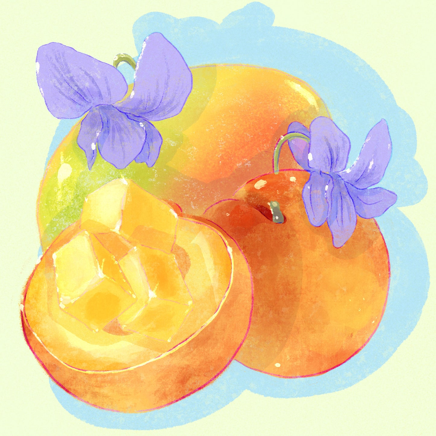 [Rested] Gesha - Natural - Finca Mi Finquita, Los Pozos Arriba