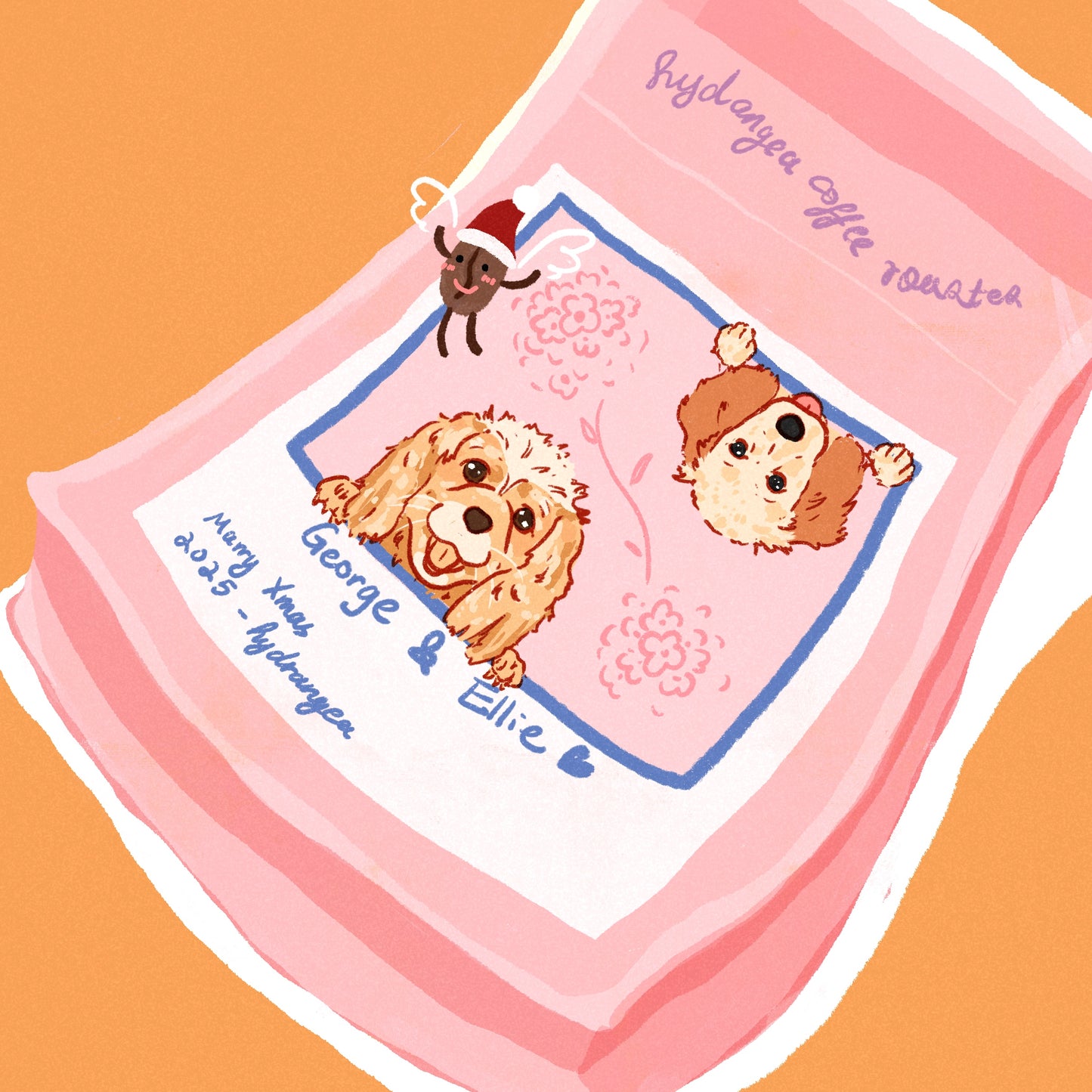 Coffee #1 - Elipse Gesha - Iris Estate (Roasted 11/8/2025)